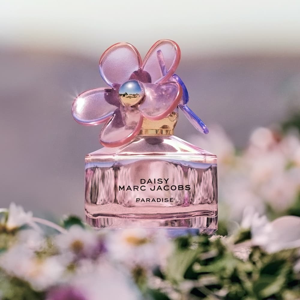 Daisy Paradise Limited